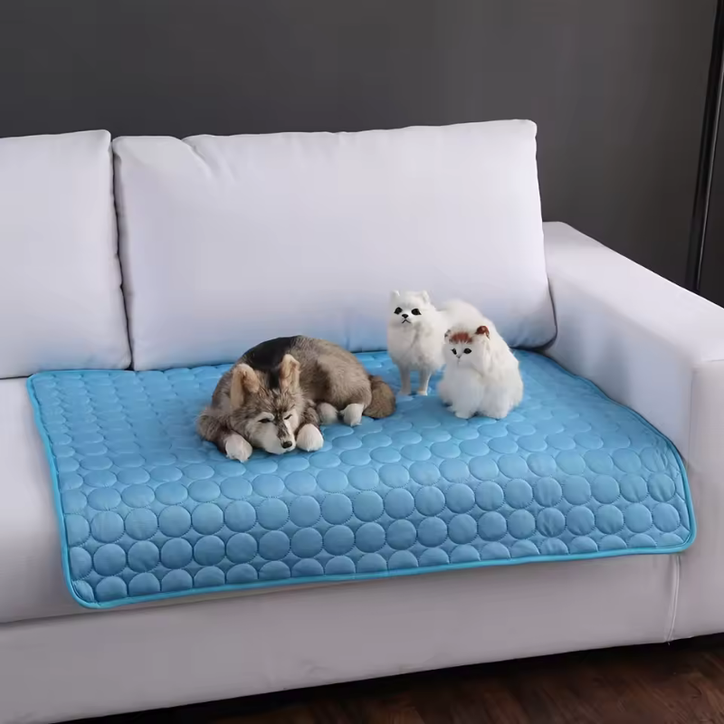 CoolBuddy – Die selbstkühlende Matte für Hunde & Katzen