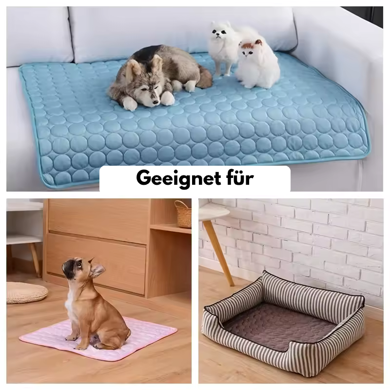 CoolBuddy – Die selbstkühlende Matte für Hunde & Katzen