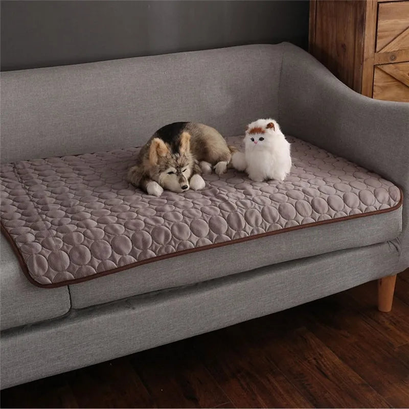 CoolBuddy – Die selbstkühlende Matte für Hunde & Katzen