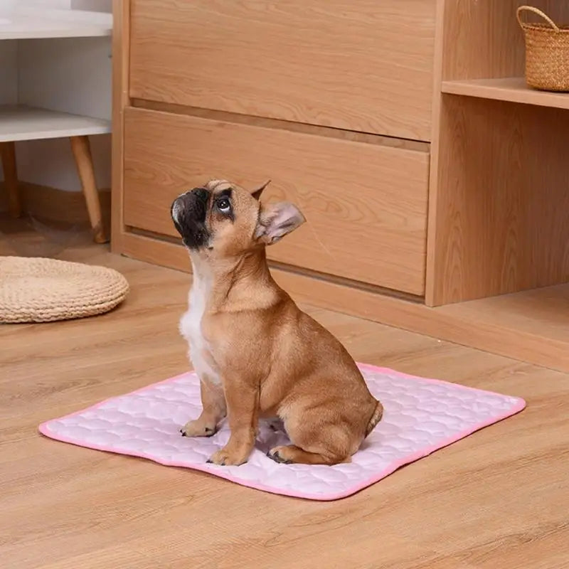CoolBuddy – Die selbstkühlende Matte für Hunde & Katzen