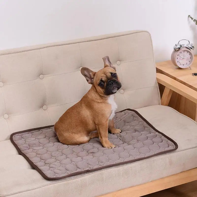 CoolBuddy – Die selbstkühlende Matte für Hunde & Katzen
